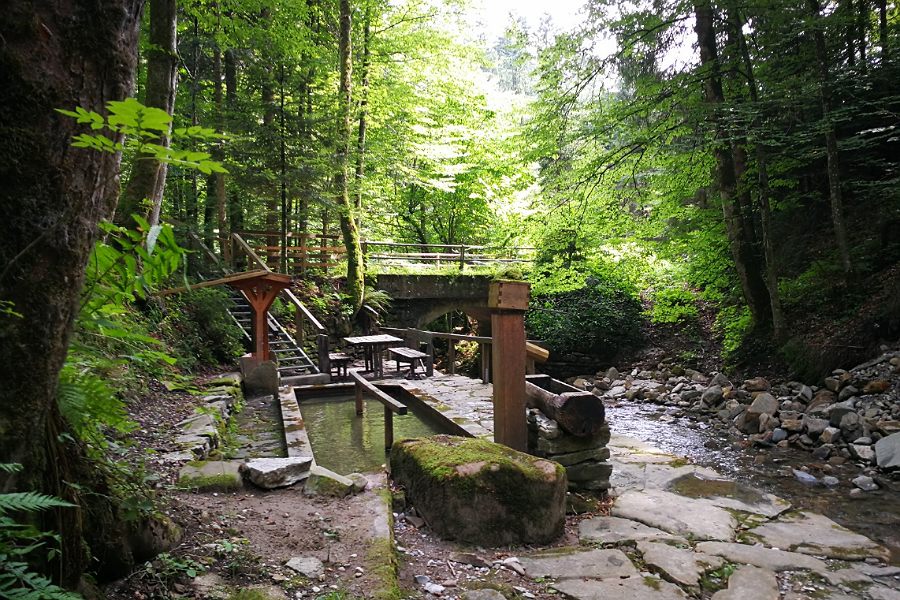 Im Laubwald ist eine Brücke und eine Stiege zu einer Kneippanlage am Bach, daneben ein Armbad mit Leierpumpe