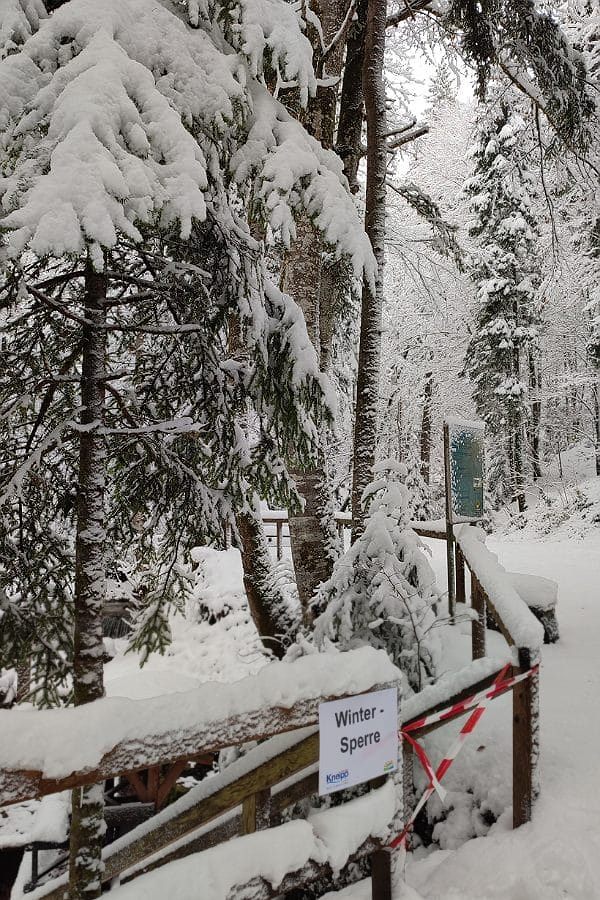 Schnee auf Bäumen (Fichten), auf der straße und auf dem Geländer. ein Absperrband versperrt den Weg zur Kneippanlage. Ein Schild mit der Aufschrift "Wintersperre"